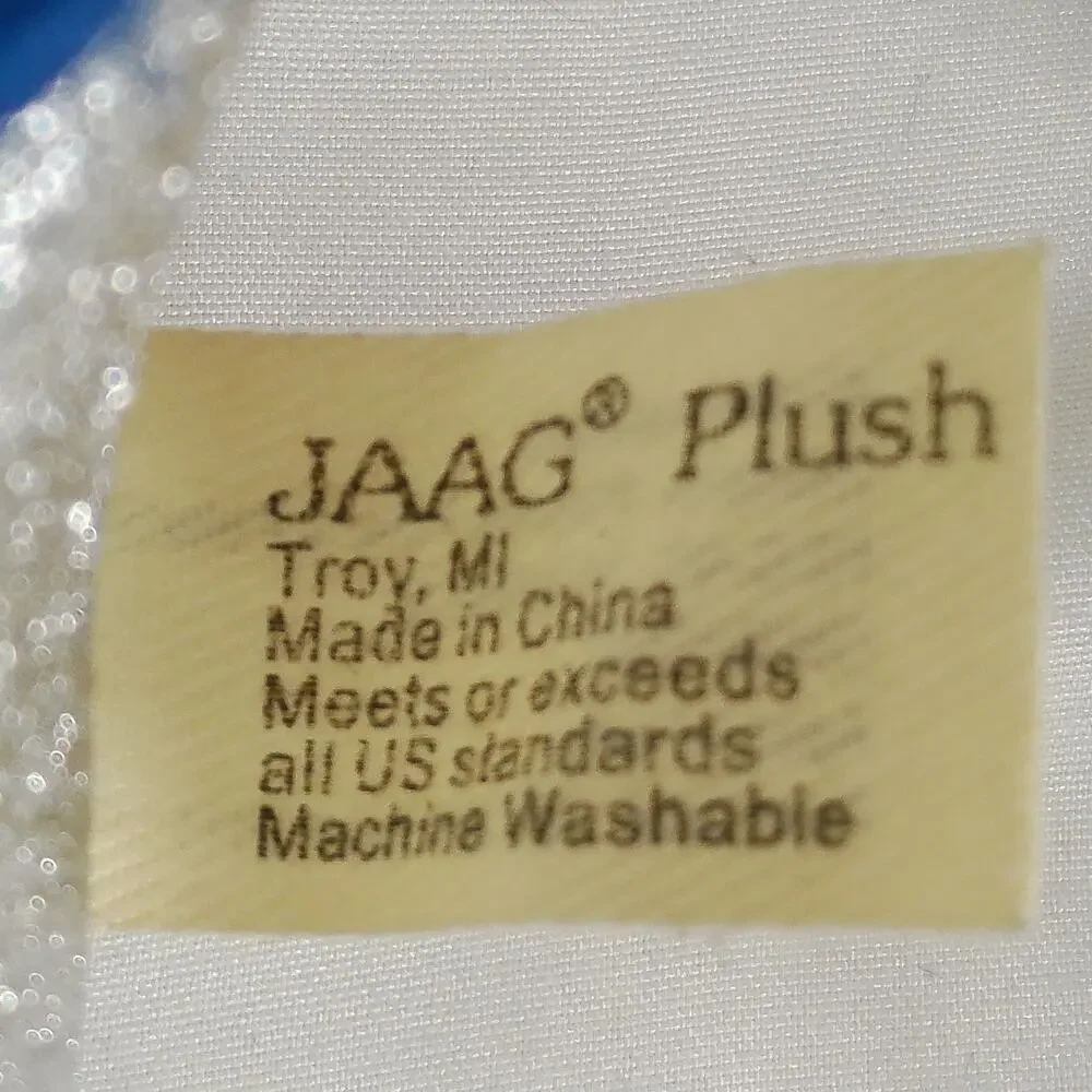 JAAG blast off